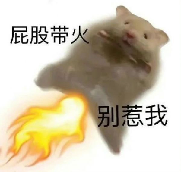 最近很火的小仓鼠表情包可爱图片搞笑系列更新啦