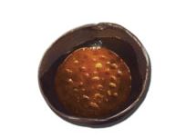 方舟生存进化自制食谱