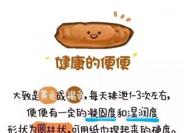 从便便看宠物的健康 全程漫画 不恶心