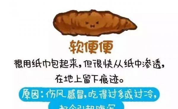从便便看宠物的健康 全程漫画 不恶心