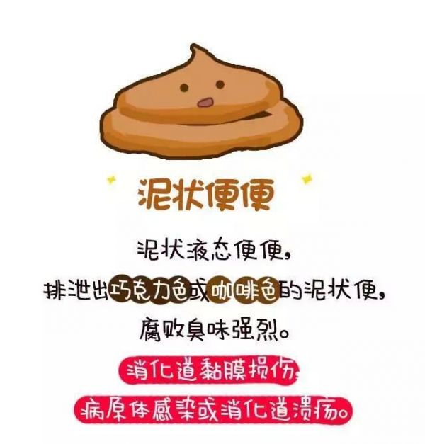 从便便看宠物的健康 全程漫画 不恶心
