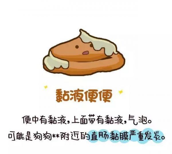 从便便看宠物的健康 全程漫画 不恶心