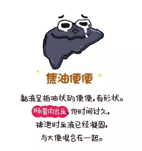 从便便看宠物的健康 全程漫画 不恶心