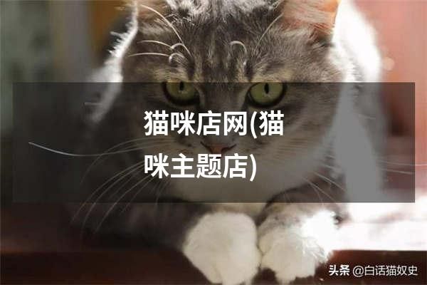 猫咪店网(猫咪主题店)