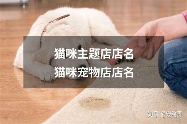 猫咪主题店店名猫咪宠物店店名