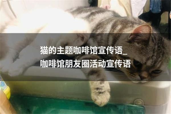 猫的主题咖啡馆宣传语_咖啡馆朋友圈活动宣传语