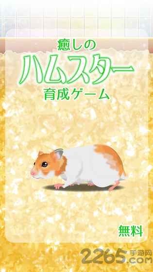 治愈仓鼠养成破解版下载
