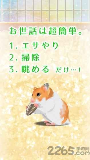 治愈仓鼠养成中文破解版 v2.1 安卓汉化版 0