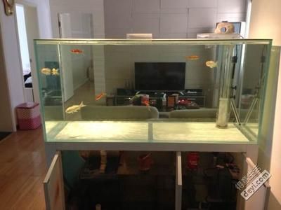 超白玻璃鱼缸选购指南：超白玻璃鱼缸品牌推荐 鱼缸 第1张