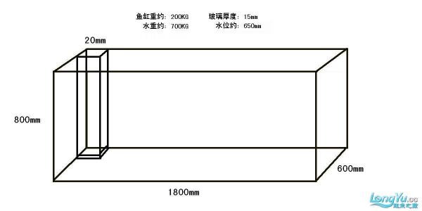 800鱼缸尺寸规格：800鱼缸的尺寸在选择指南市场上有很多种尺寸的鱼缸 鱼缸 第4张