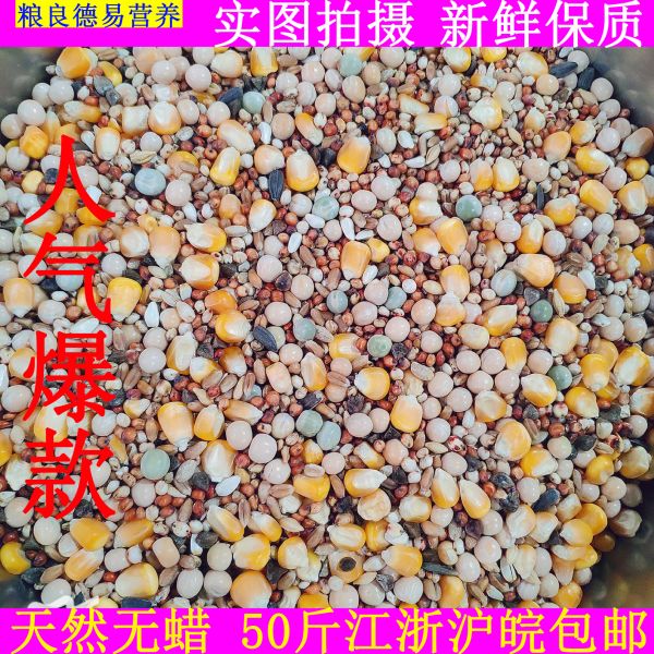 粮良德易A级鸽粮有玉米营养赛飞饲料信观赏鸽子粮食鸟食50斤包邮