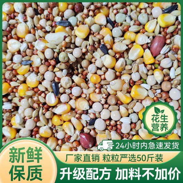 鸽粮50斤装玉米赛飞粮良德易营养鸽料赛信观赏肉鸽子粮食鸟食包邮