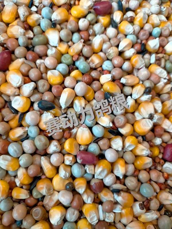 赛动力鸽粮能量营养玉米鸽粮赛鸽信鸽饲料鸟食50斤装苏浙皖包邮