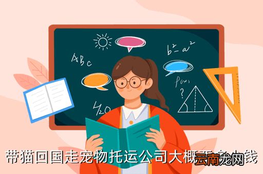 宠物汽车托运需要多少钱，带猫回国走宠物托运公司大概要多少钱