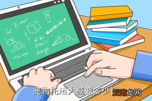 宠物汽车托运需要多少钱，带猫回国走宠物托运公司大概要多少钱