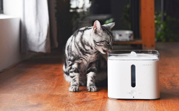 Petkit EVERSWEET宠物智能饮水机