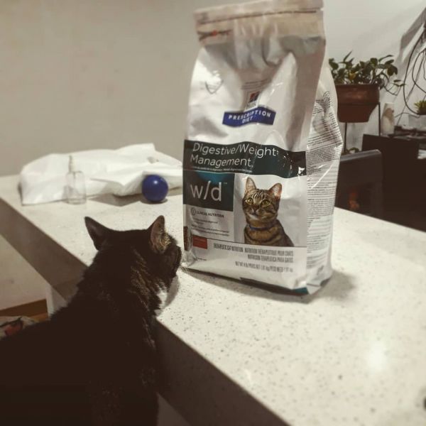 天然猫粮