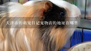 天津市的萌宠日记宠物店的地址在哪里