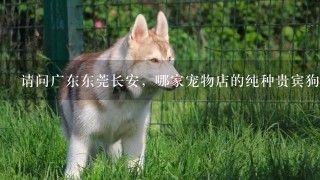 请问广东东莞长安，哪家宠物店的纯种贵宾狗，比较便宜，大概多少钱？拜托大家告诉我新大狗场在哪里