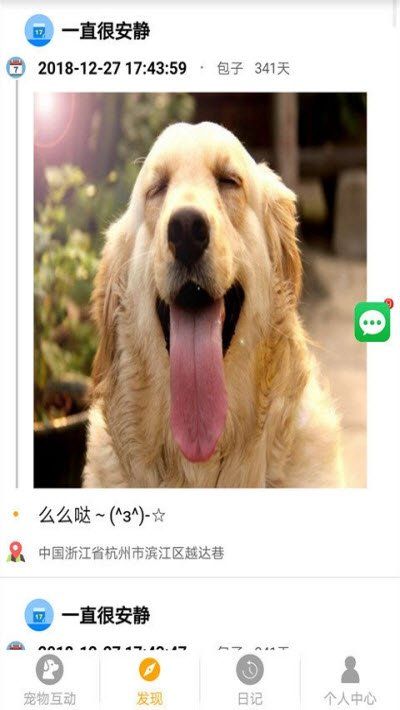 宠物的日记 1