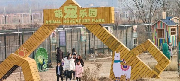 安阳大型萌宠乐园，宠物的天堂，人们的欢乐源泉