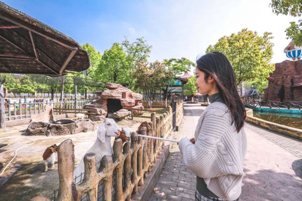  南京河西萌宠乐园，宠物的天堂，人类的乐园
