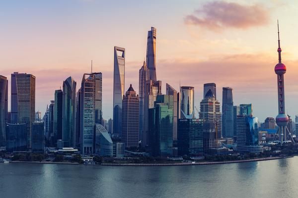 宠物店销售猫类宠物:需要签署合同吗?图1