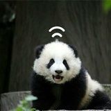 卡卡米糊