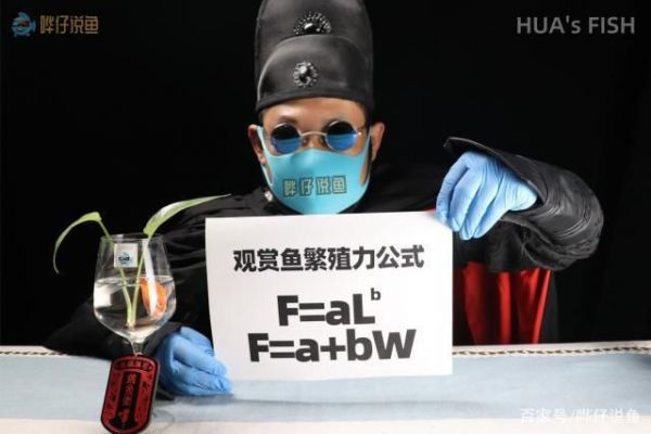 观赏鱼类鱼繁殖挣钱吗（如何通过观赏鱼繁殖赚钱）