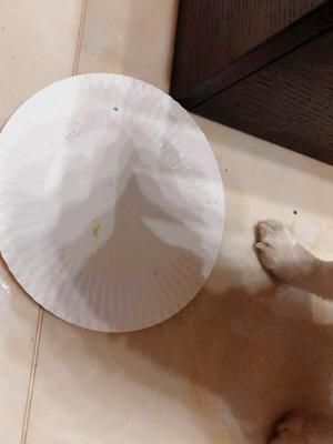 狗狗星空生日蛋糕（低碳天然无色素）的做法 步骤4