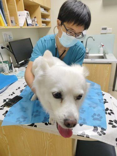 带逆子来检查身体，把医生都给逗乐了！ 