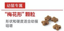 ROYAL CANIN 皇家 幼猫全价粮 2kg