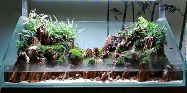 DIY 水族箱全解析:制缸五项原则一一揭秘