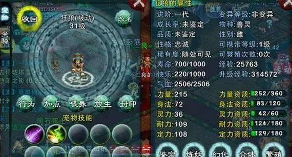 忘仙宠物如何繁殖