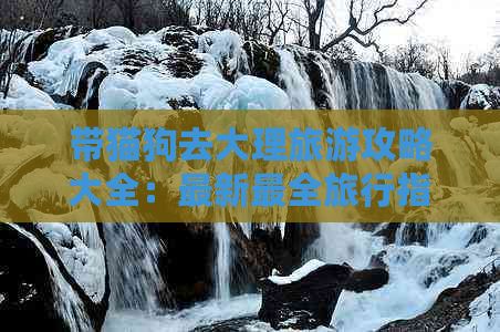 带猫狗去大理旅游攻略大全：最新最全旅行指南