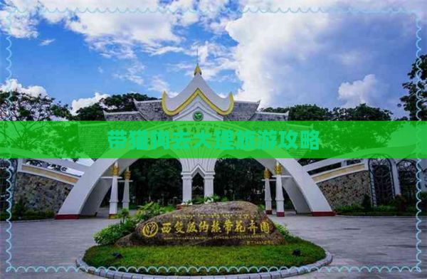 带猫狗去大理旅游攻略