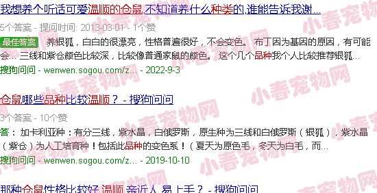 温顺的仓鼠品种