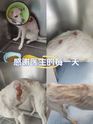 医术超赞 医心更美~
