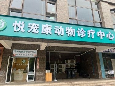 给这家医院一个大大的好评[强]
