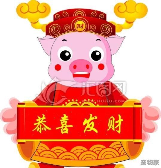 养殖什么动物风险最小，收益稳定