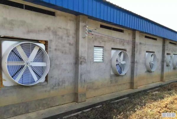 养殖什么动物风险最小，收益稳定