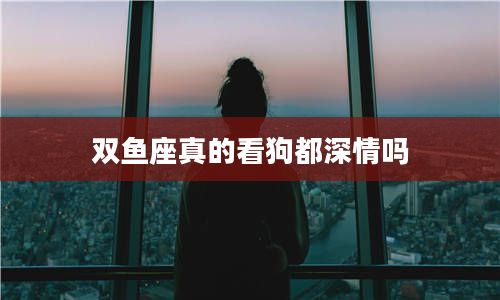 双鱼座真的看狗都深情吗