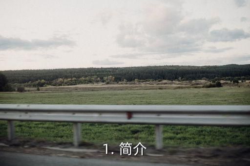 1. 简介