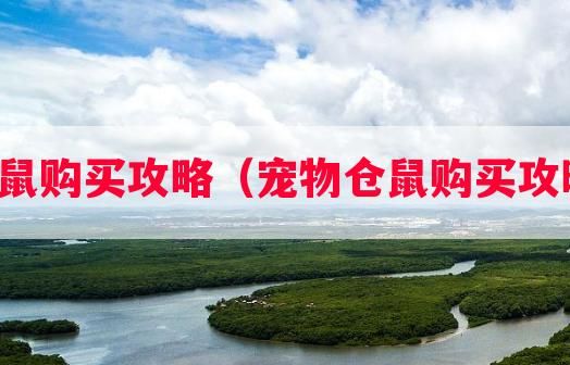 宠物仓鼠购买攻略（宠物仓鼠购买攻略图解）