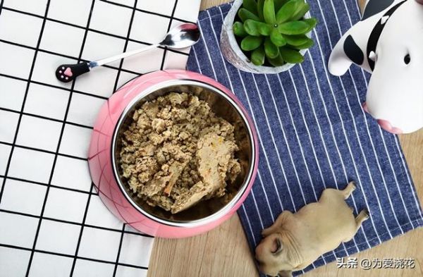 自制狗粮制作方法配方大全（狗粮的制作方法）(1)