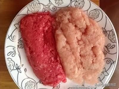 自制狗粮制作方法配方大全（狗粮的制作方法）(8)