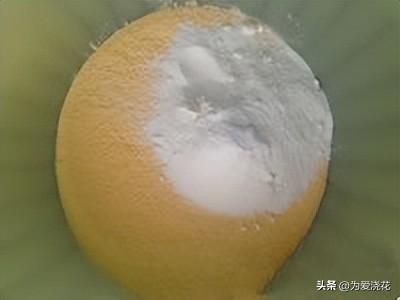 自制狗粮制作方法配方大全（狗粮的制作方法）(9)