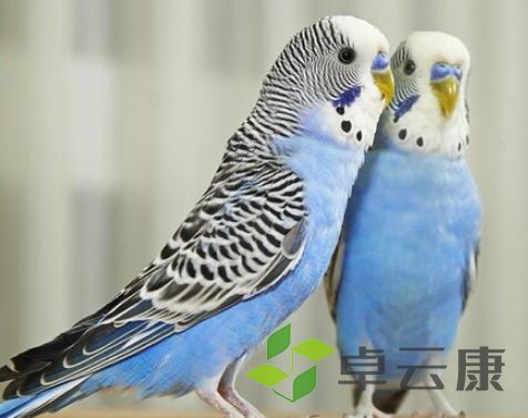QQ截图20230321163346