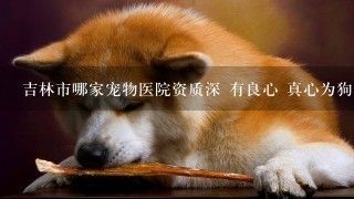 吉林市哪家宠物医院资质深 有良心 真心为狗狗治病的 （贝贝和皮皮就不用介绍了）最好在江北这面。谢谢大家