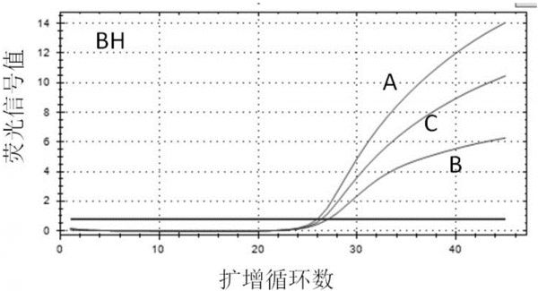 检测宠物源性人兽共患病的多重PCR引物探针及试剂盒的制作方法